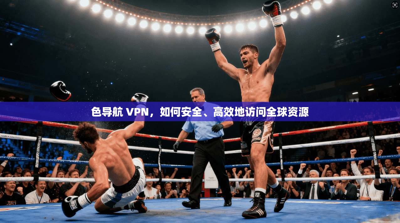 色导航 VPN，如何安全、高效地访问全球资源  第1张