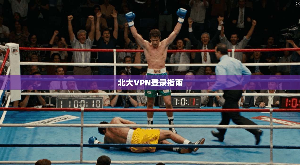 北大VPN登录指南  第1张