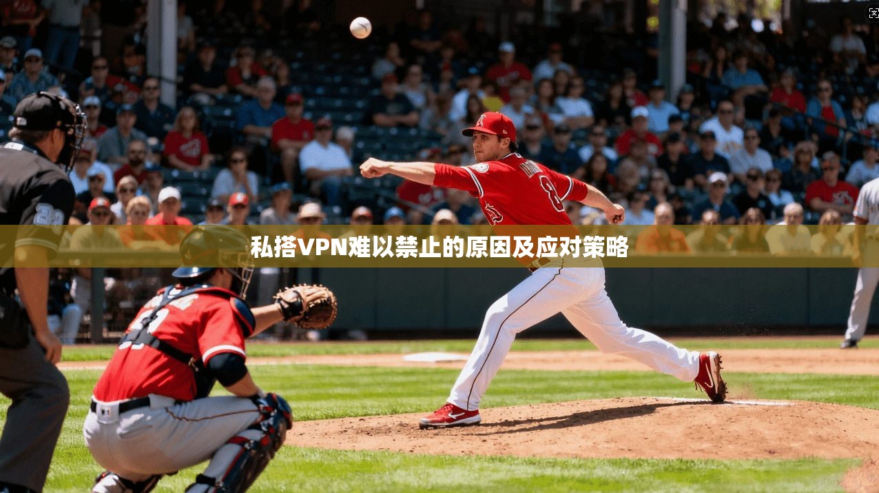 私搭VPN难以禁止的原因及应对策略  第1张