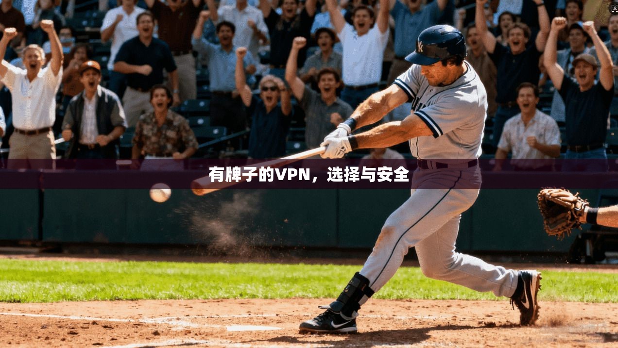 有牌子的VPN，选择与安全  第1张