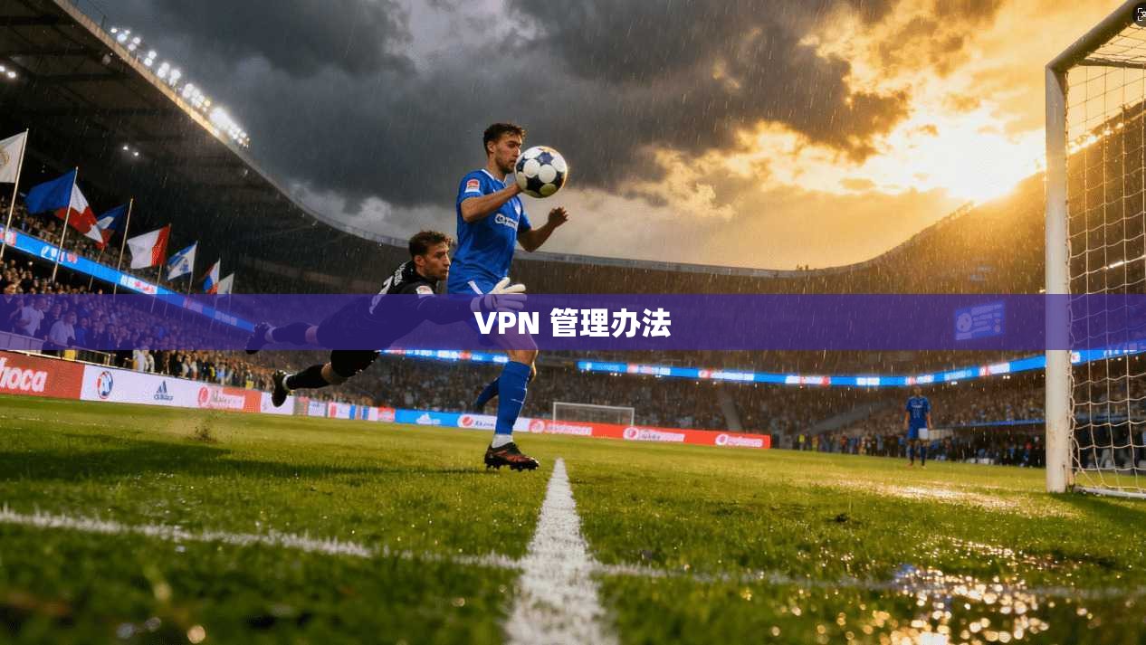 VPN 管理办法  第1张