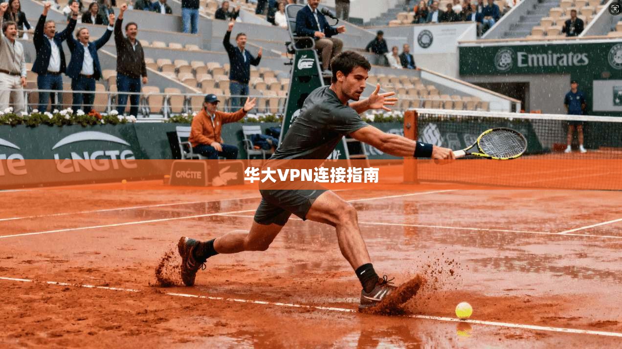 华大VPN连接指南  第1张