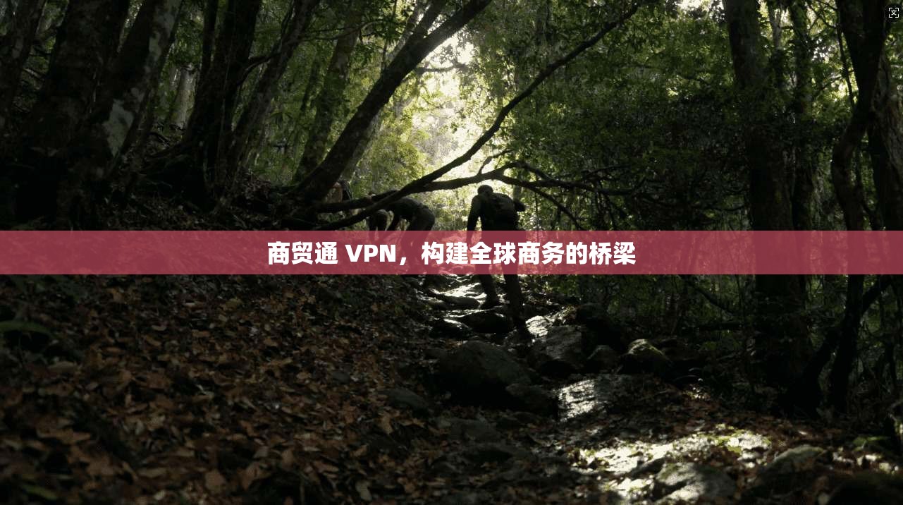 商贸通 VPN，构建全球商务的桥梁  第1张