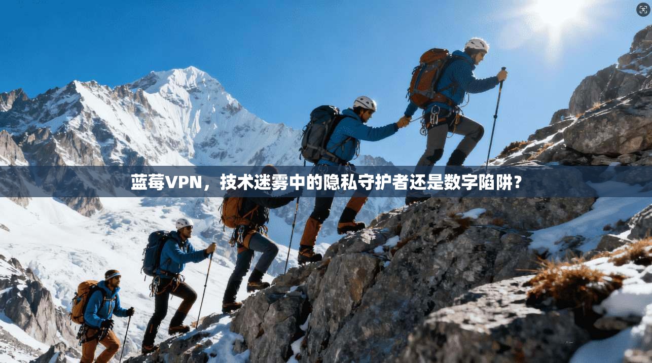 蓝莓VPN，技术迷雾中的隐私守护者还是数字陷阱？