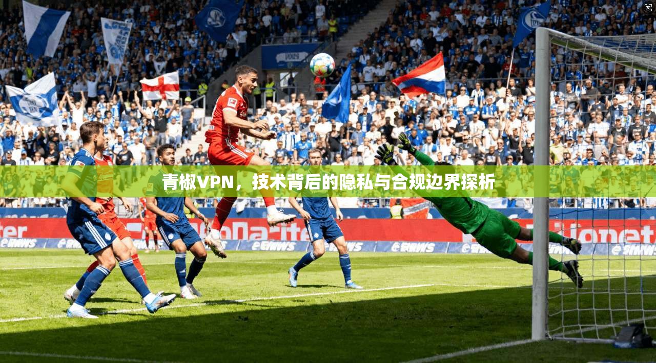 青椒VPN，技术背后的隐私与合规边界探析