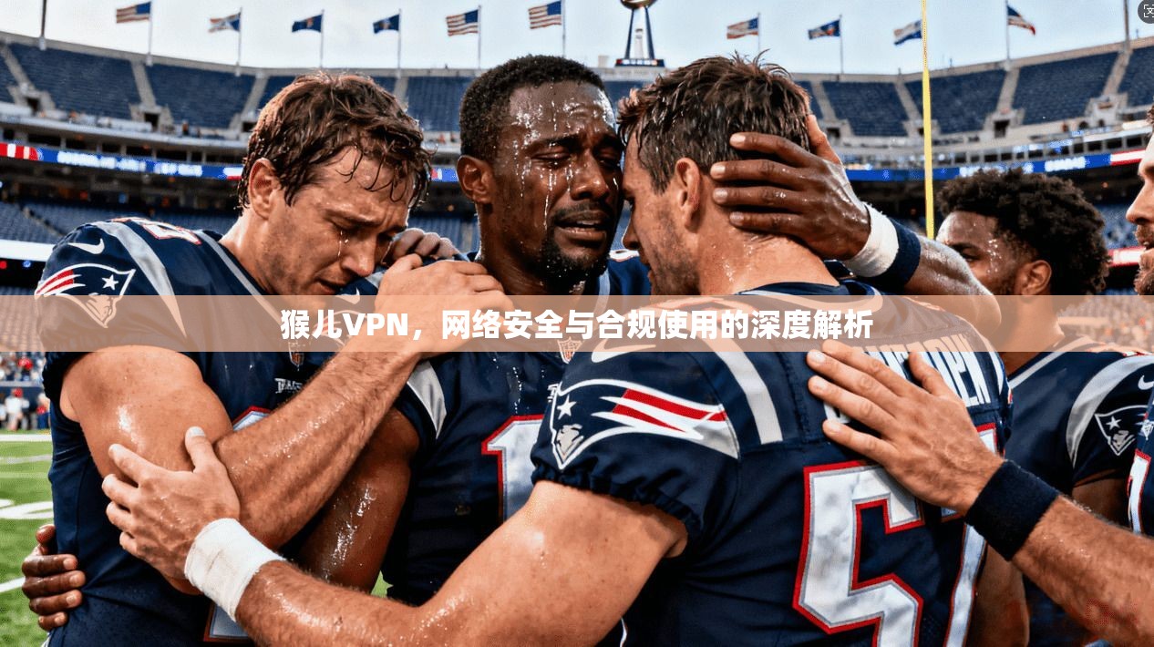 猴儿VPN，网络安全与合规使用的深度解析