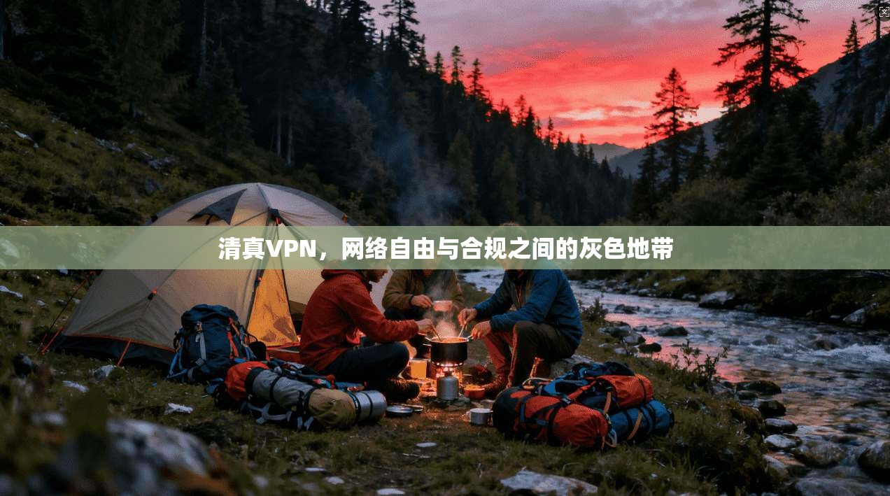清真VPN，网络自由与合规之间的灰色地带