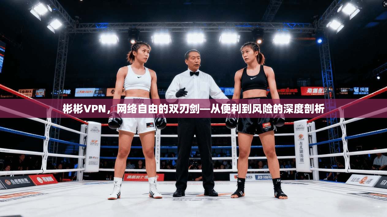 彬彬VPN，网络自由的双刃剑—从便利到风险的深度剖析