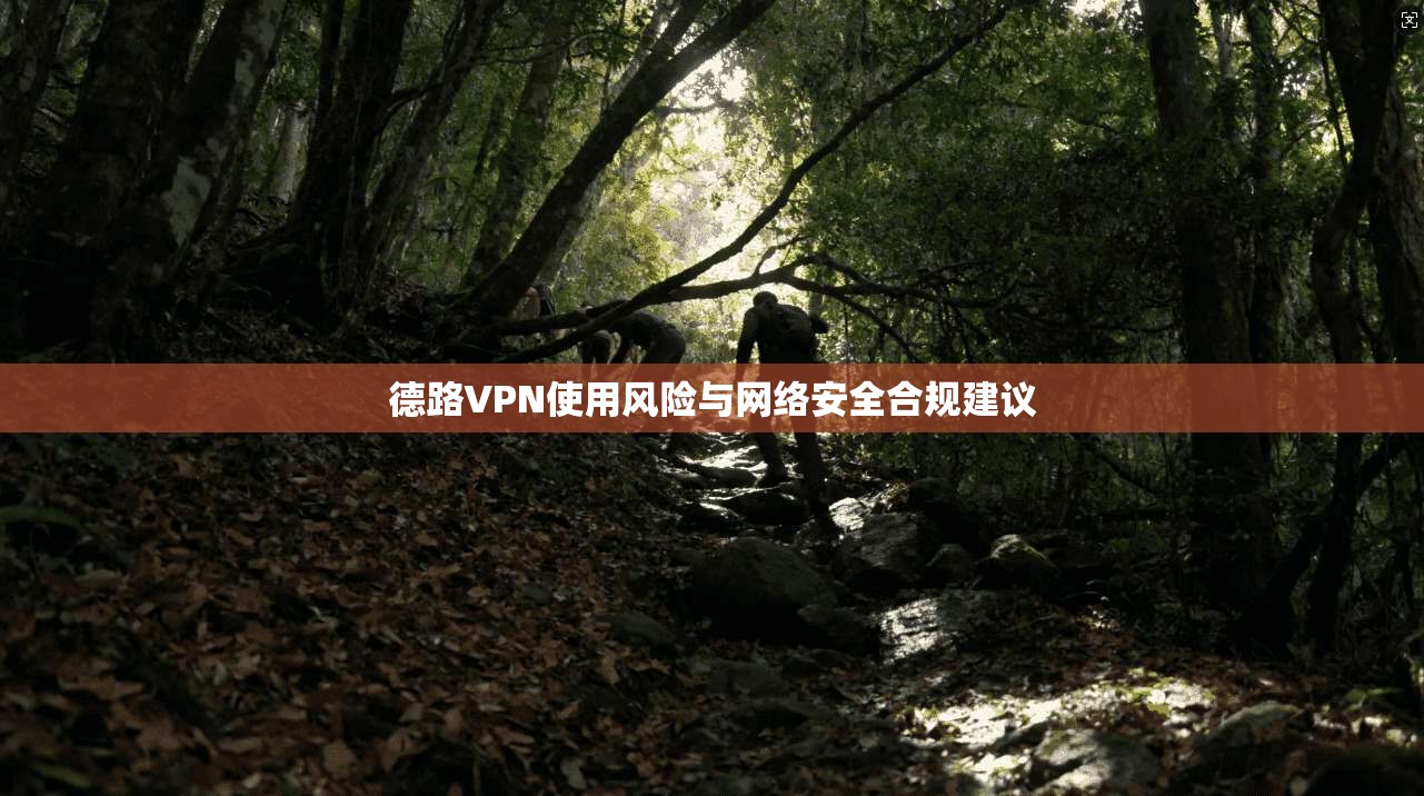 德路VPN使用风险与网络安全合规建议
