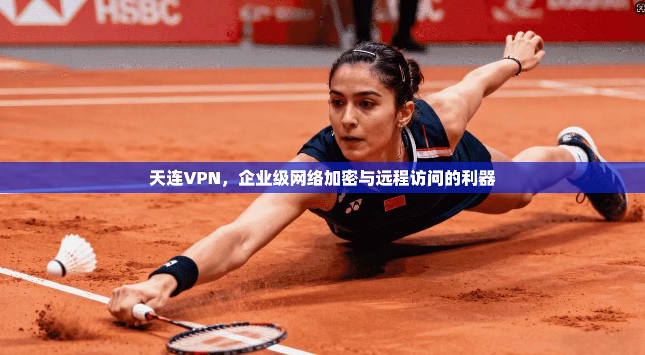 天连VPN，企业级网络加密与远程访问的利器