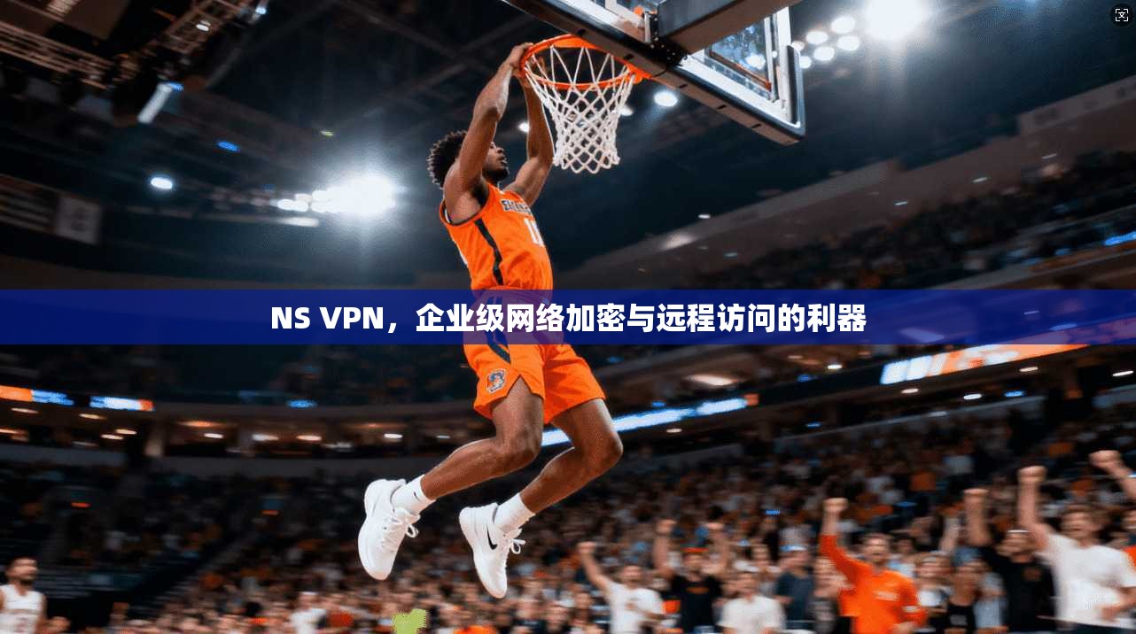 NS VPN，企业级网络加密与远程访问的利器