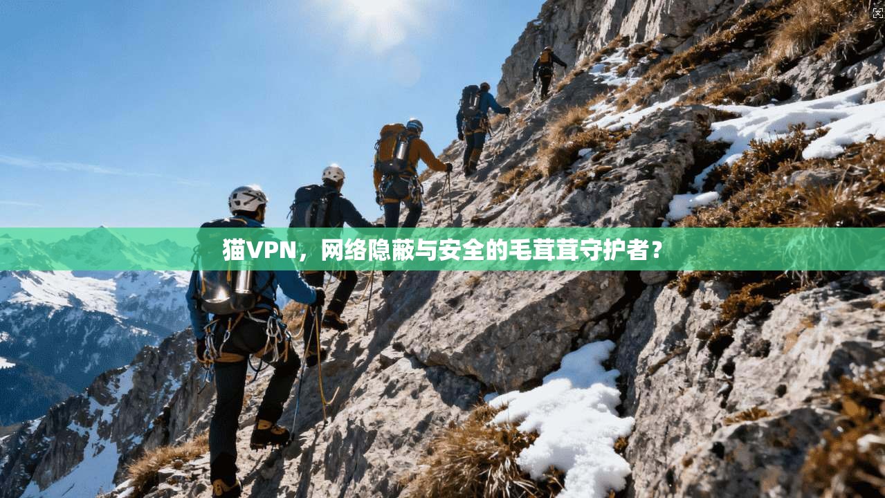 猫VPN，网络隐蔽与安全的毛茸茸守护者？