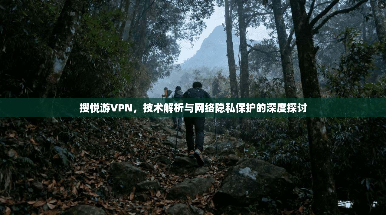 搜悦游VPN，技术解析与网络隐私保护的深度探讨