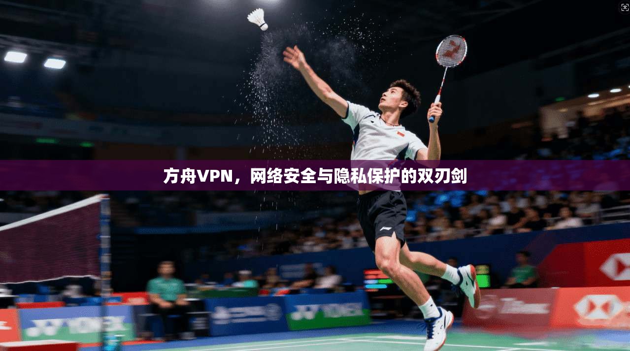 方舟VPN，网络安全与隐私保护的双刃剑