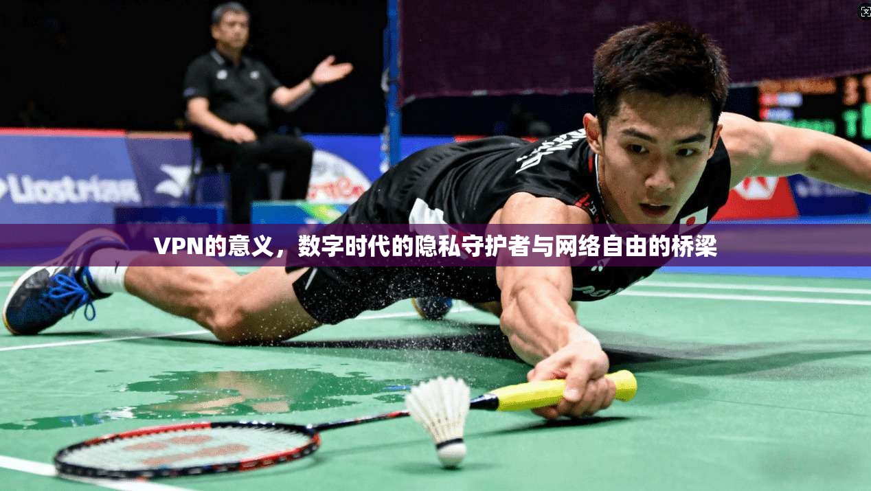 VPN的意义，数字时代的隐私守护者与网络自由的桥梁