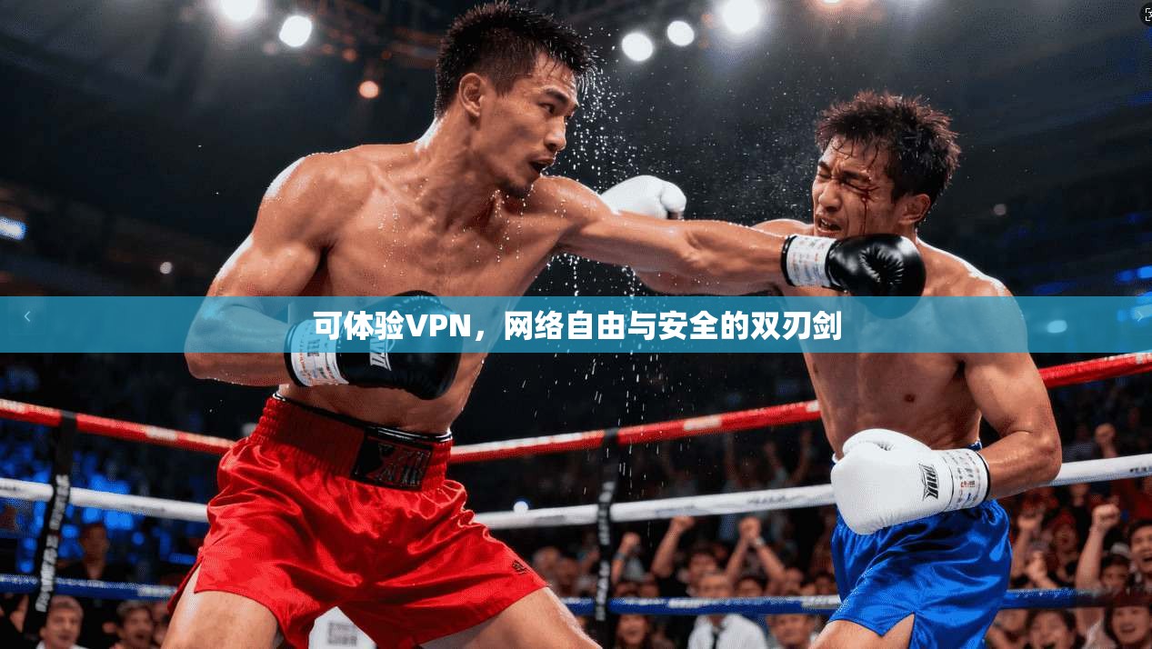 可体验VPN，网络自由与安全的双刃剑