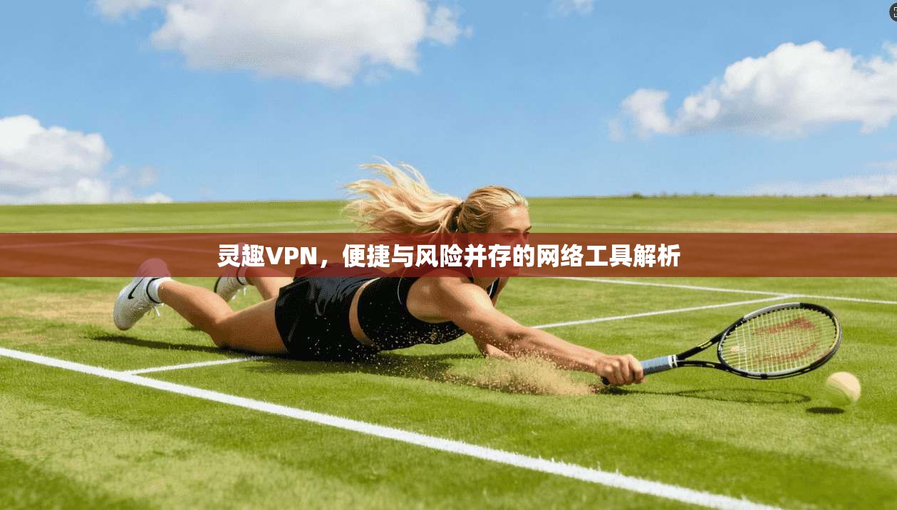 灵趣VPN，便捷与风险并存的网络工具解析