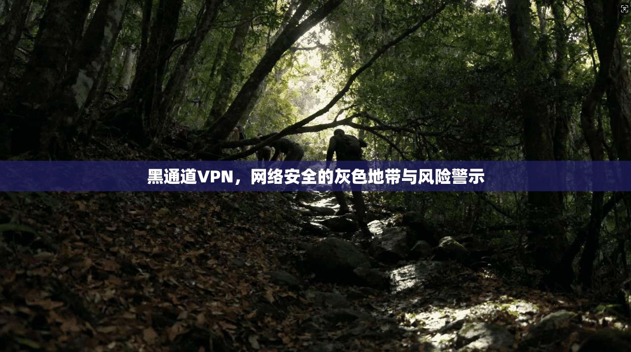 黑通道VPN，网络安全的灰色地带与风险警示