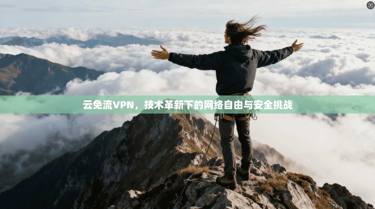 云免流VPN，技术革新下的网络自由与安全挑战