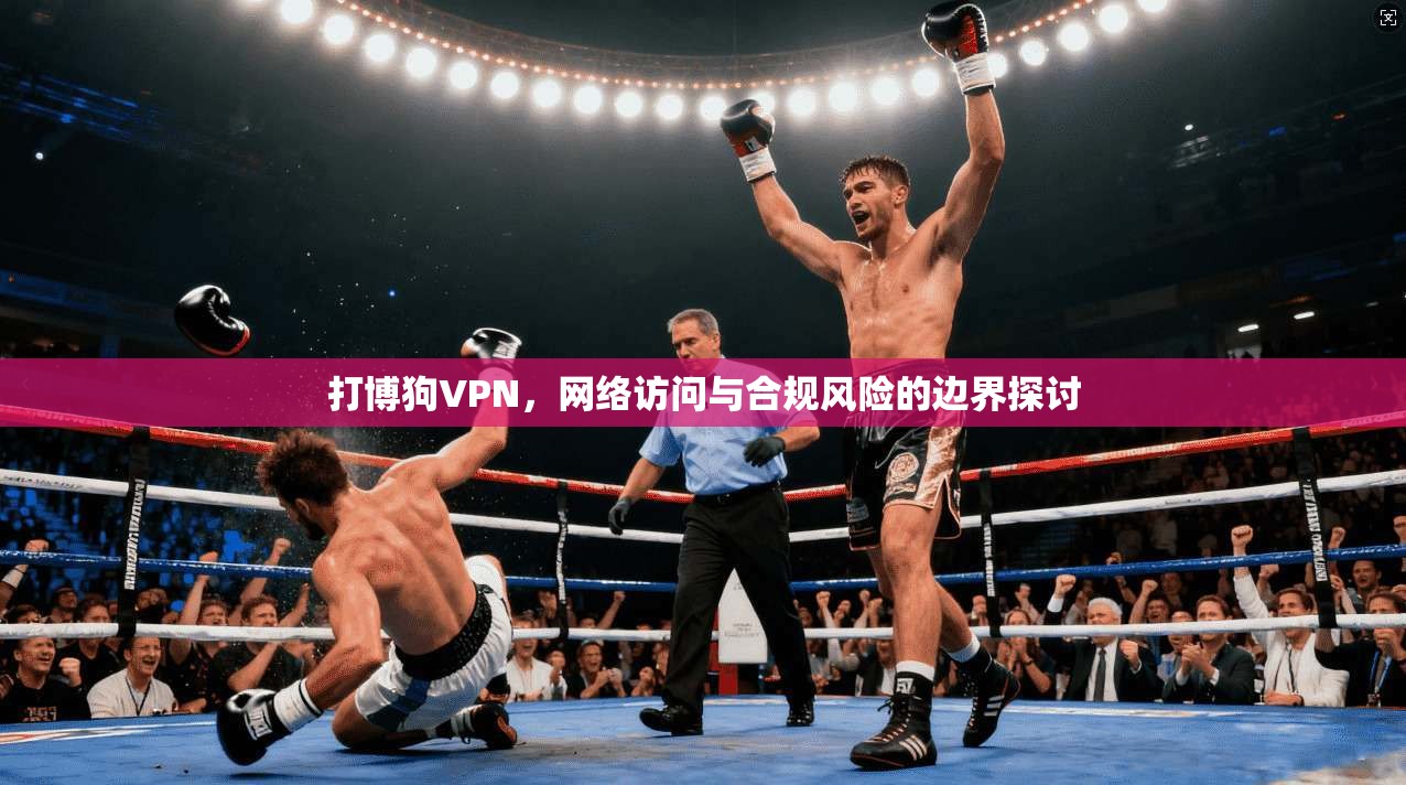 打博狗VPN，网络访问与合规风险的边界探讨