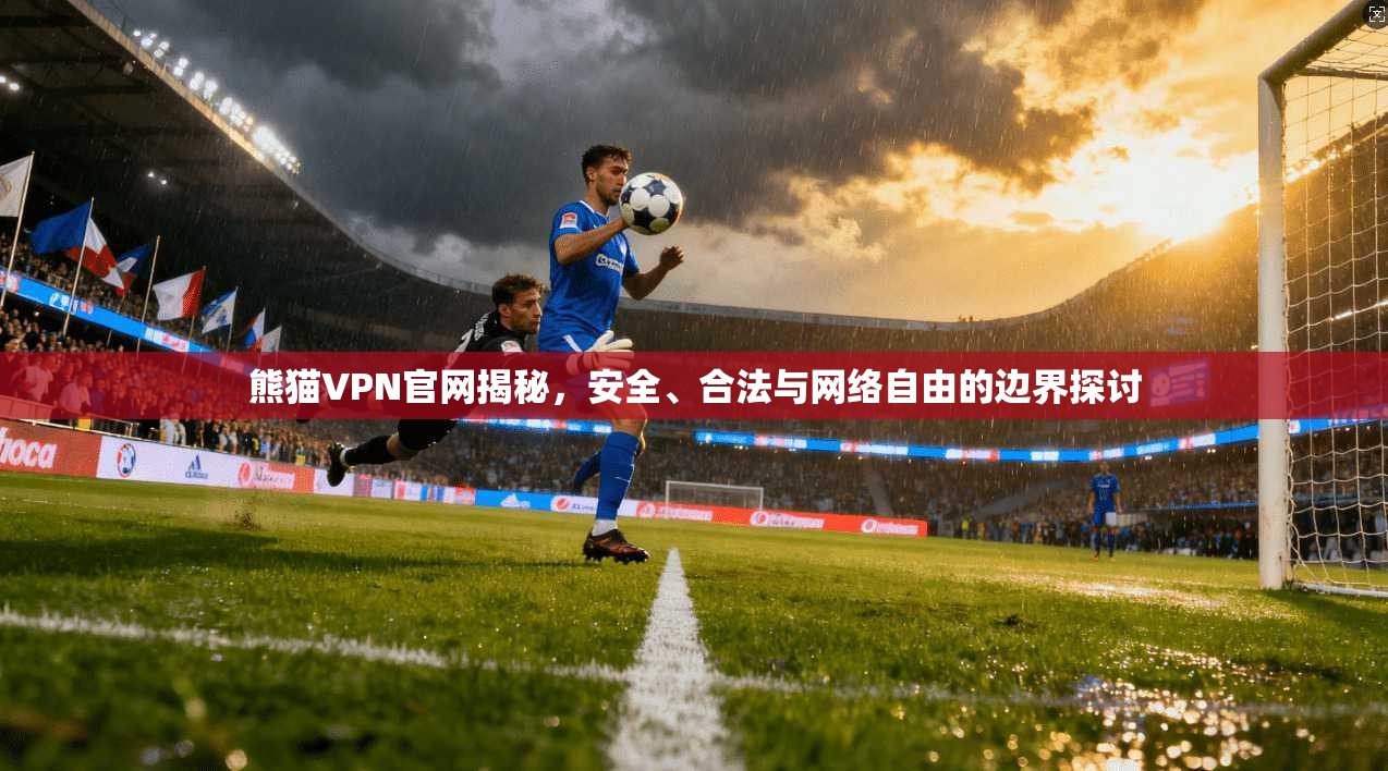 熊猫VPN官网揭秘，安全、合法与网络自由的边界探讨