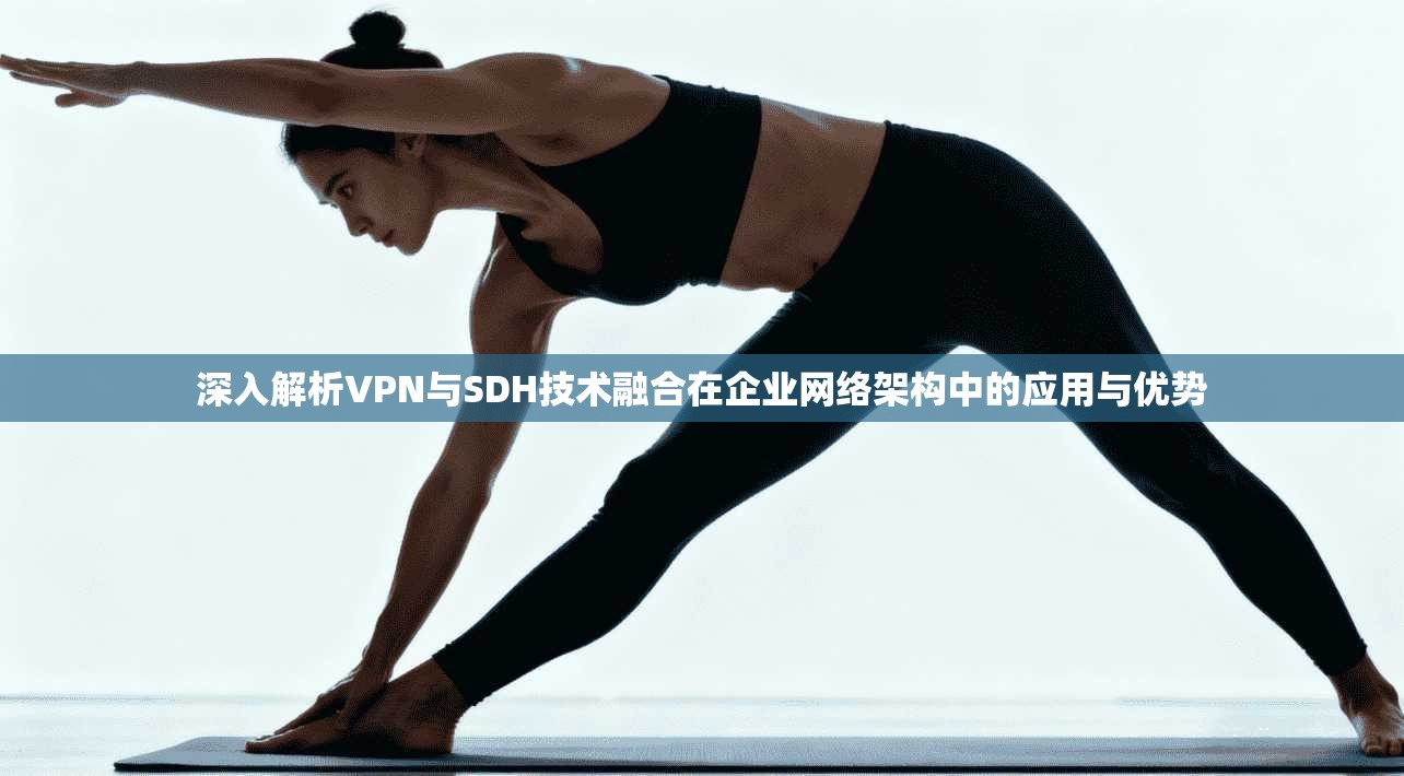 深入解析VPN与SDH技术融合在企业网络架构中的应用与优势