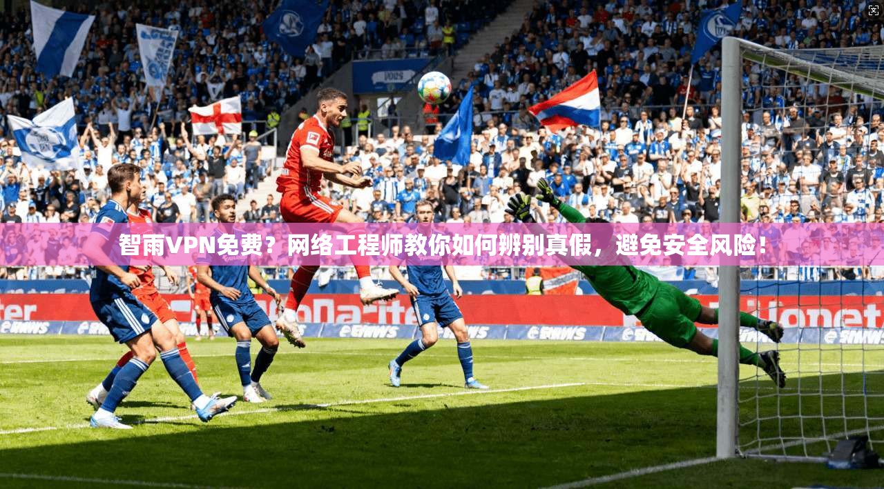 智雨VPN免费？网络工程师教你如何辨别真假，避免安全风险！