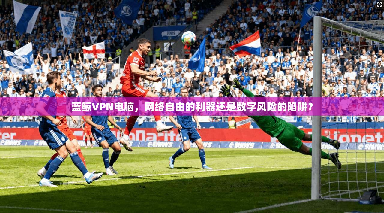 蓝鲸VPN电脑，网络自由的利器还是数字风险的陷阱？