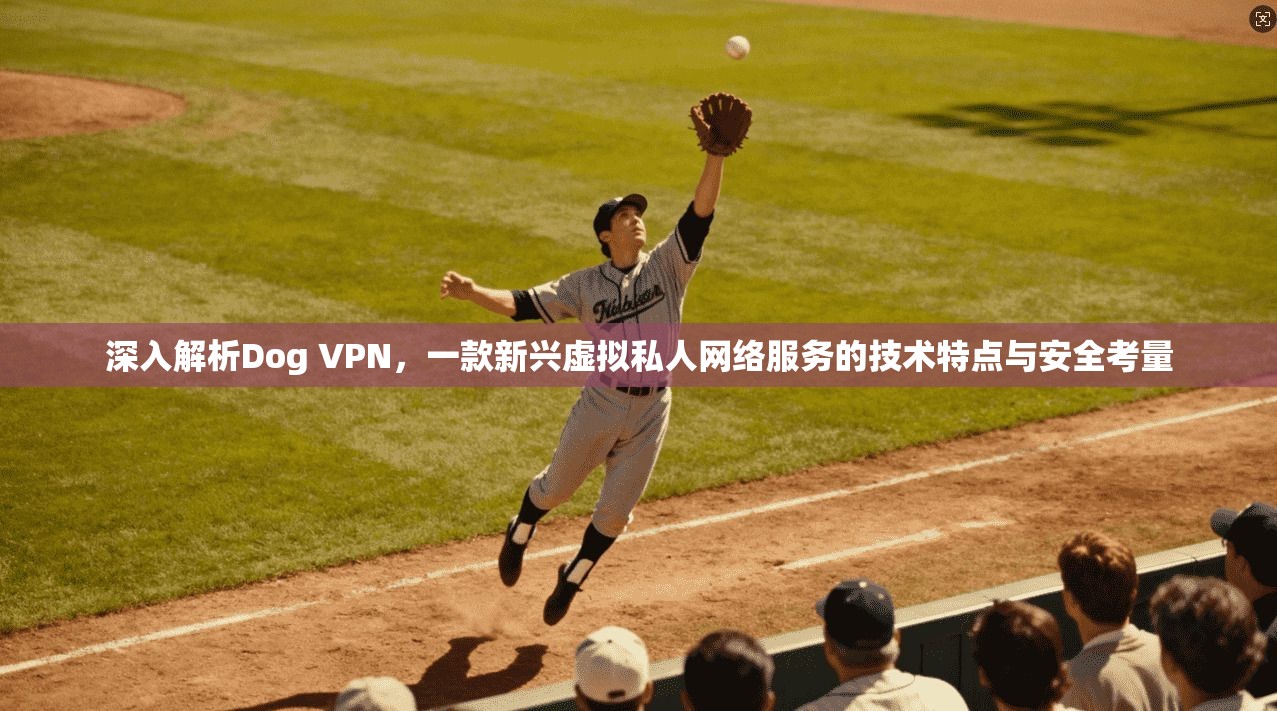深入解析Dog VPN，一款新兴虚拟私人网络服务的技术特点与安全考量