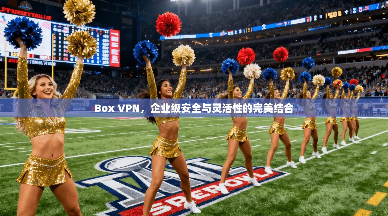Box VPN，企业级安全与灵活性的完美结合