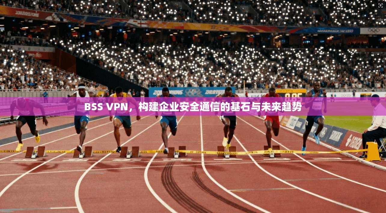 BSS VPN，构建企业安全通信的基石与未来趋势