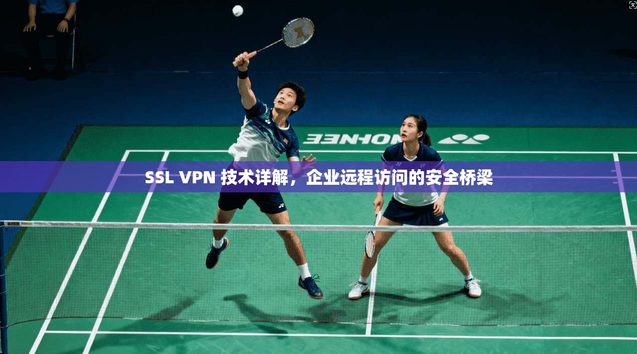 SSL VPN 技术详解，企业远程访问的安全桥梁