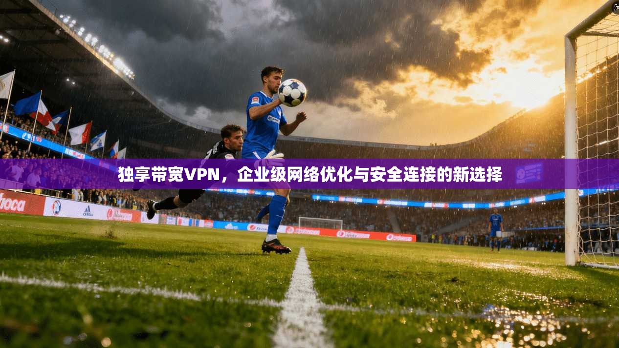 独享带宽VPN，企业级网络优化与安全连接的新选择