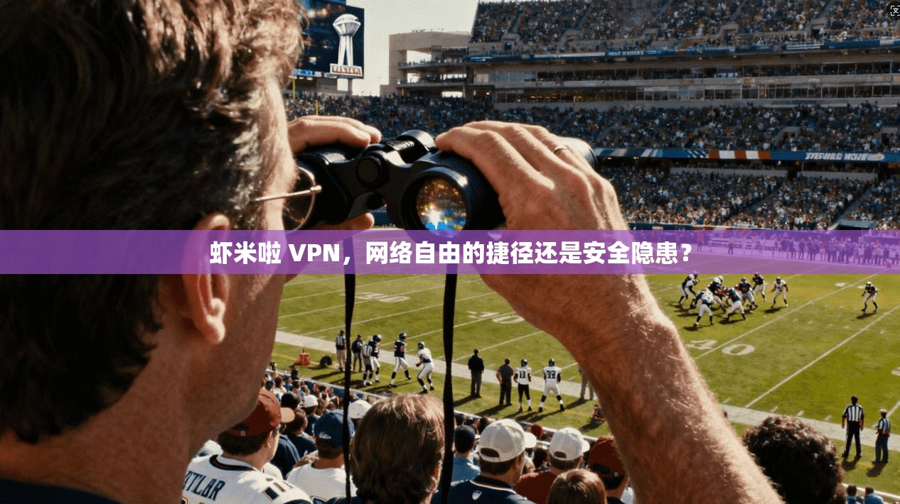 虾米啦 VPN，网络自由的捷径还是安全隐患？
