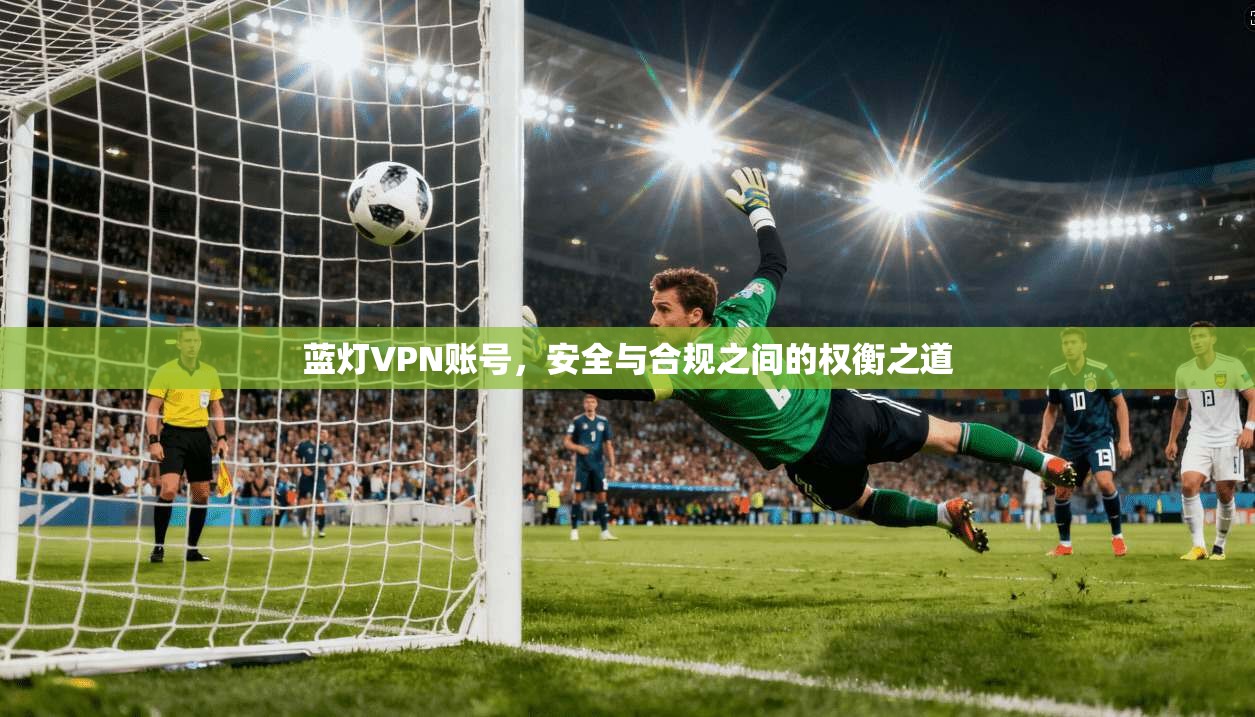 蓝灯VPN账号，安全与合规之间的权衡之道