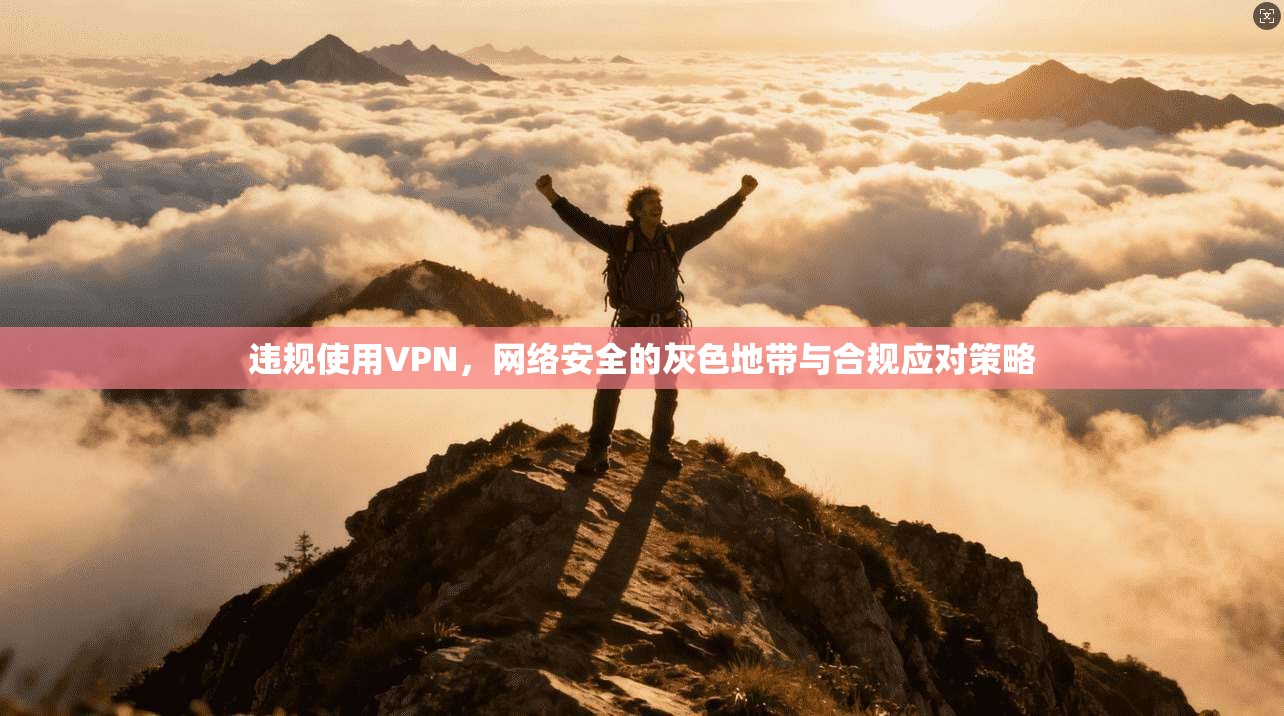 违规使用VPN，网络安全的灰色地带与合规应对策略