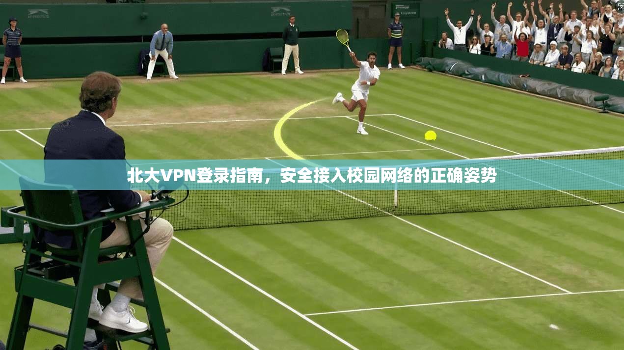 北大VPN登录指南，安全接入校园网络的正确姿势
