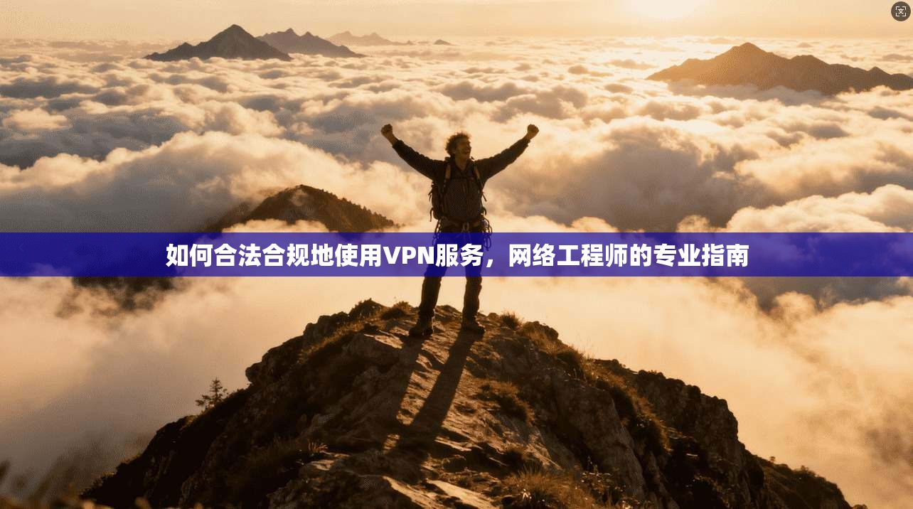 如何合法合规地使用VPN服务，网络工程师的专业指南