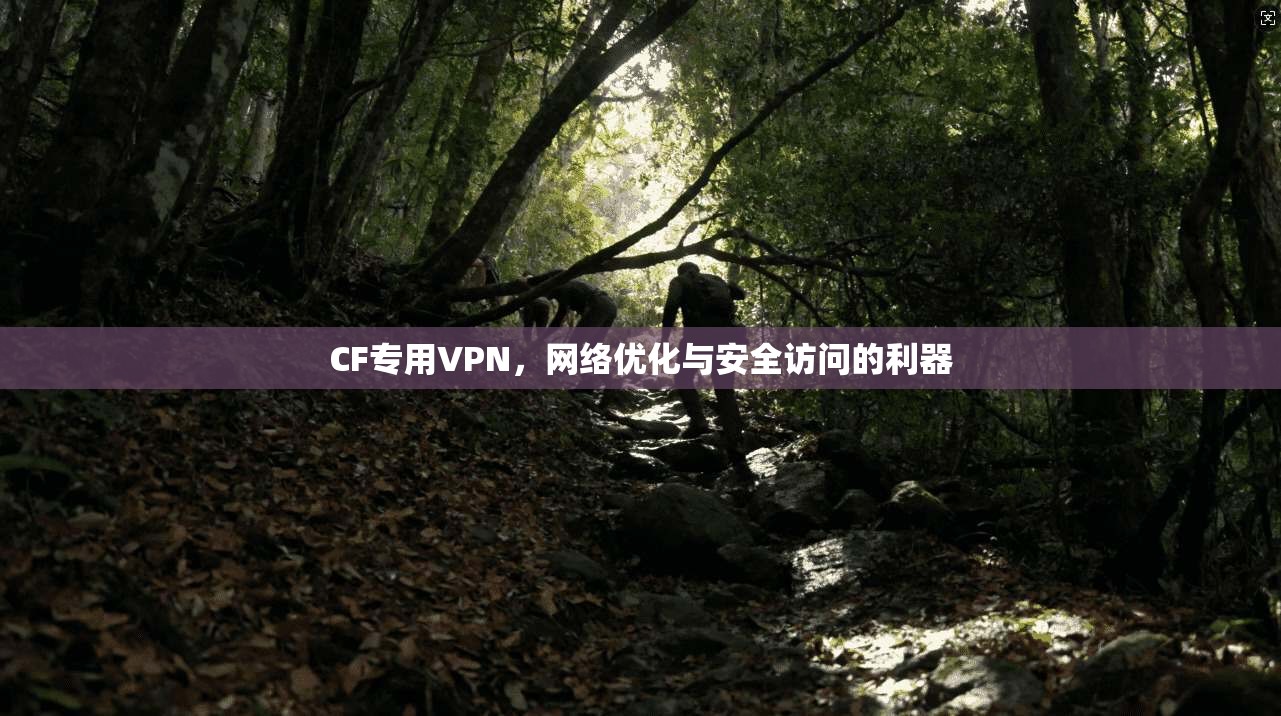 CF专用VPN，网络优化与安全访问的利器