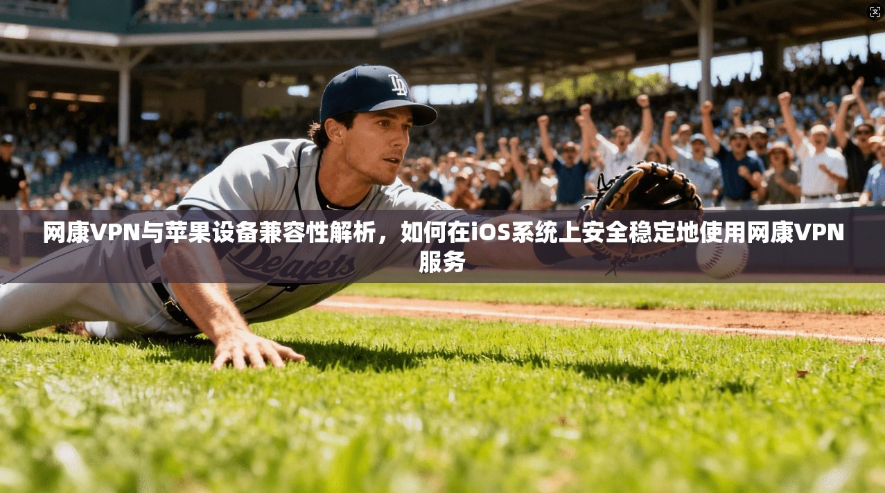 网康VPN与苹果设备兼容性解析，如何在iOS系统上安全稳定地使用网康VPN服务