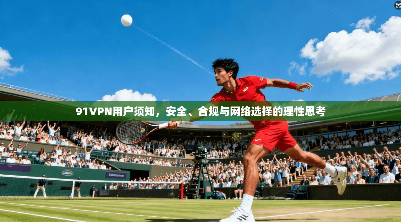 91VPN用户须知，安全、合规与网络选择的理性思考