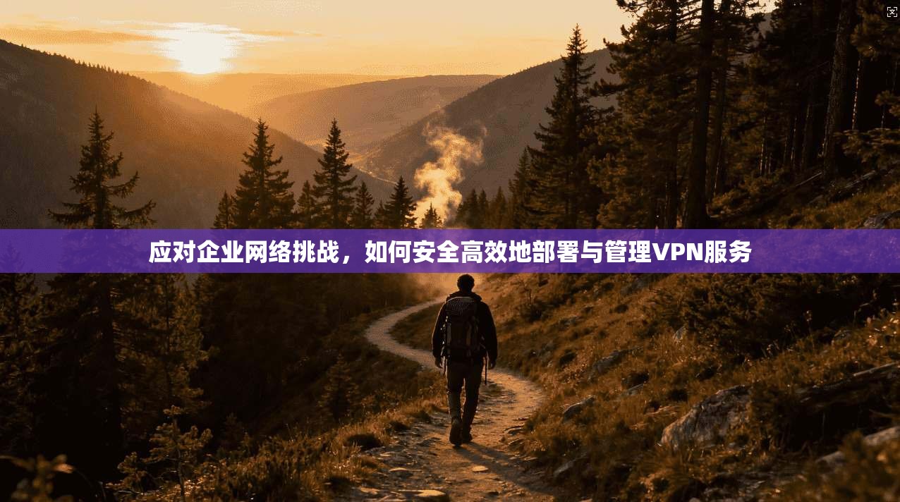 应对企业网络挑战，如何安全高效地部署与管理VPN服务