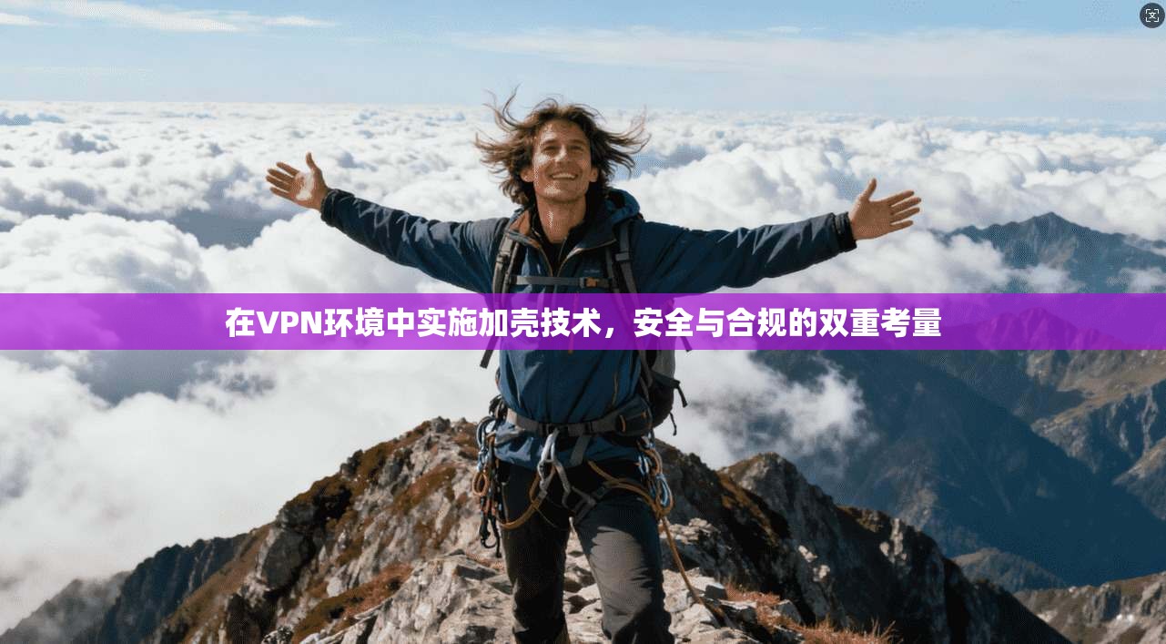 在VPN环境中实施加壳技术，安全与合规的双重考量