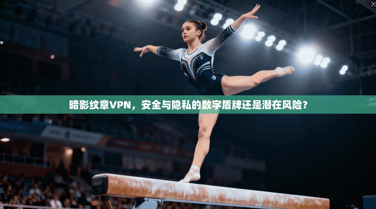 暗影纹章VPN，安全与隐私的数字盾牌还是潜在风险？