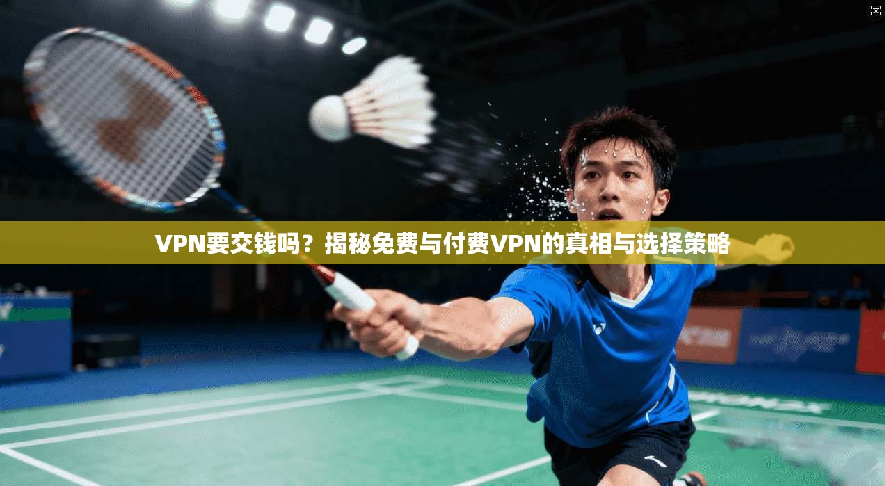 VPN要交钱吗？揭秘免费与付费VPN的真相与选择策略