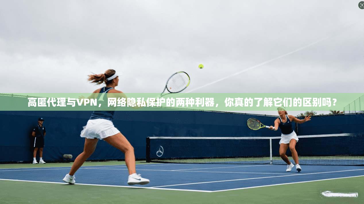高匿代理与VPN，网络隐私保护的两种利器，你真的了解它们的区别吗？