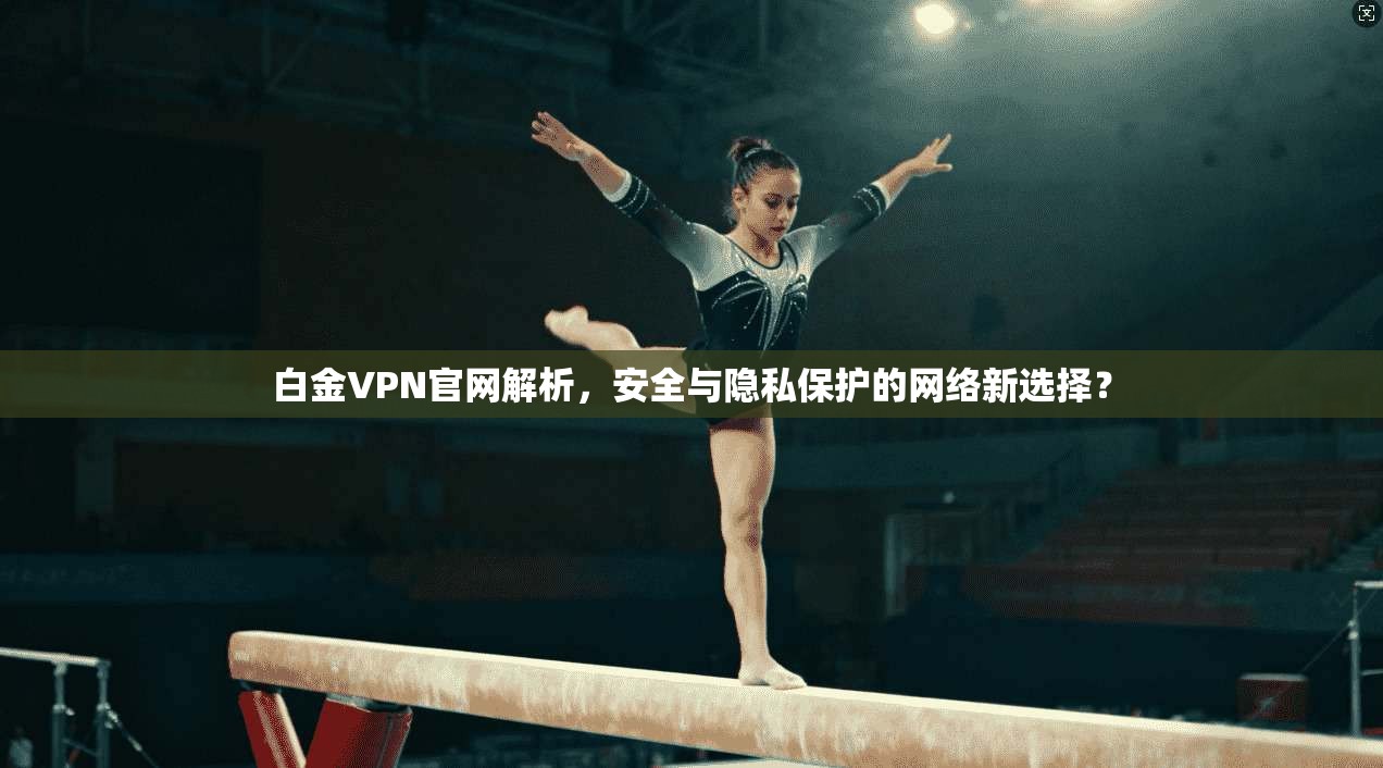 白金VPN官网解析，安全与隐私保护的网络新选择？