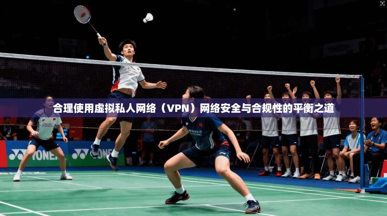 合理使用虚拟私人网络（VPN）网络安全与合规性的平衡之道