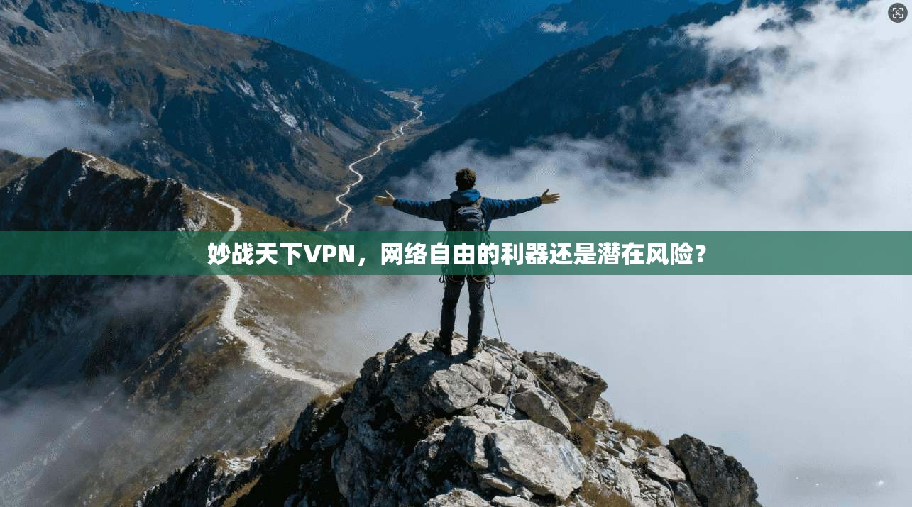 妙战天下VPN，网络自由的利器还是潜在风险？