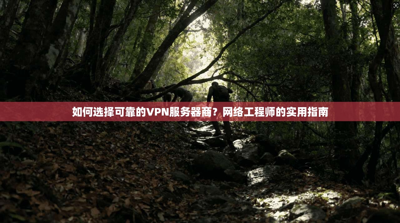如何选择可靠的VPN服务器商？网络工程师的实用指南
